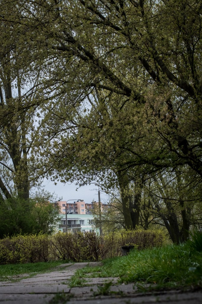 Ten park (róg ul.: Bałtyckiej i Bartosza Głowackiego) wymaga natychmiastowej rewitalizacji!