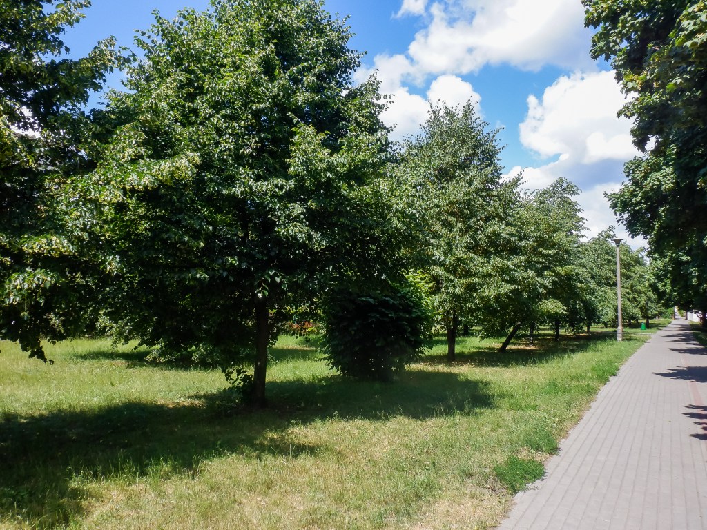 Tutaj (między Szkołą Podstawową nr 32 a blokiem przy Połczyńskiej 6) jest natomiast całkiem przyjemnie. Osiedle Bartodzieje