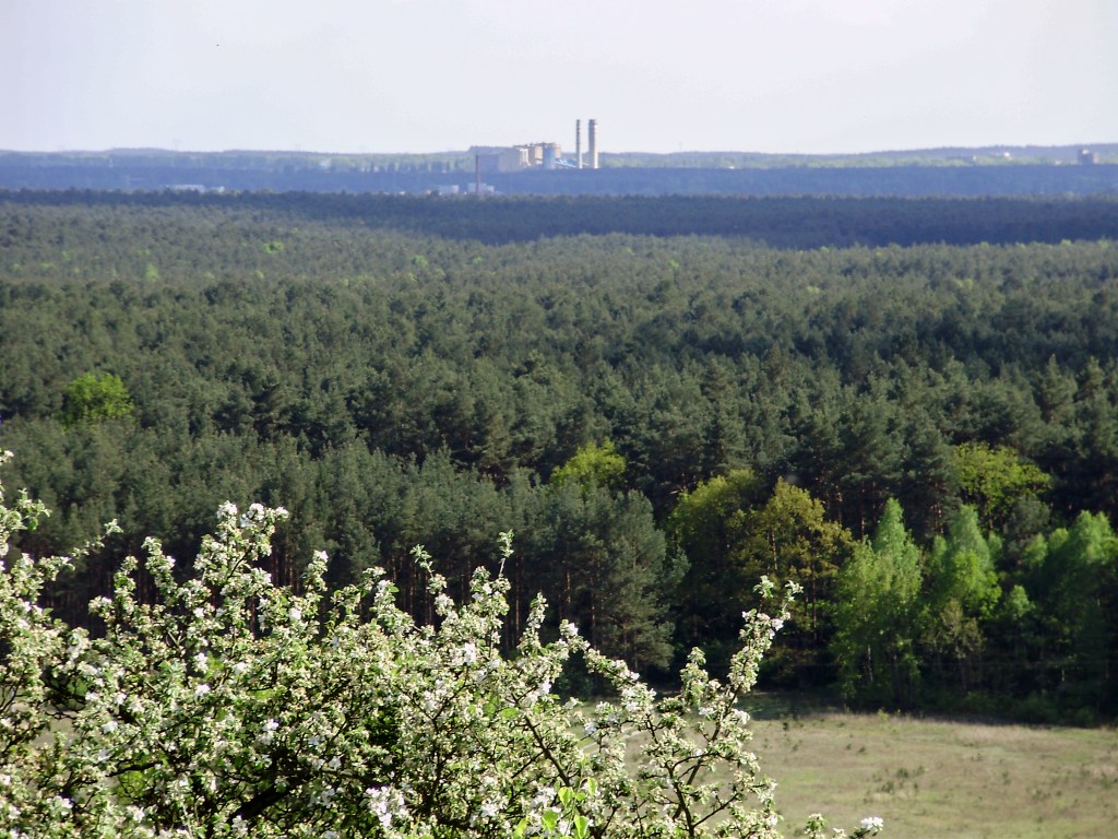 Widok z Zamczyska na Las Gdański