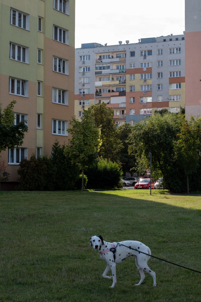 Niby blokowisko, ale na szczęście na Wyżynach jest gdzie wyjść z pieskiem