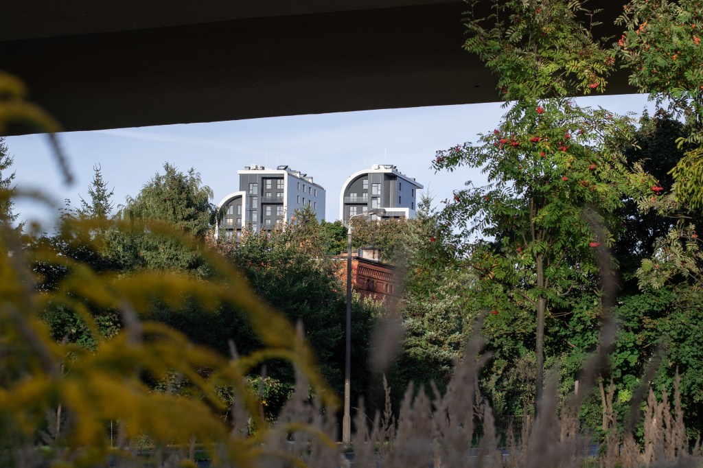 Zieleń Babiej Wsi, a w tle River Tower