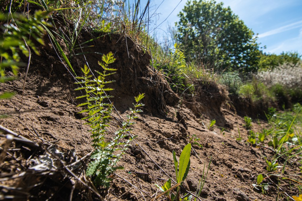 Piaski... na Piaskach!