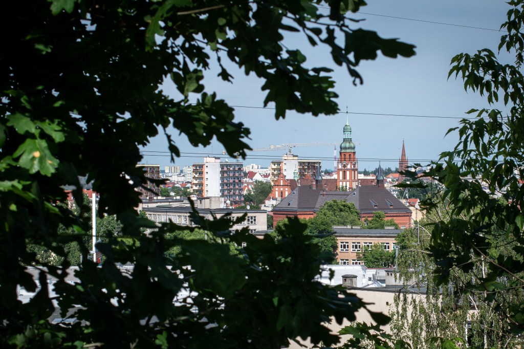 Widok z Wilczaka w stronę Starego Miasta