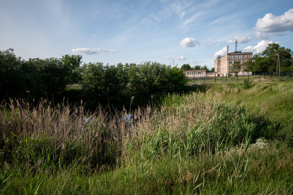 Jedno z jeziorek, które pozostały po cegielni na osiedlu Wilczak-Jary