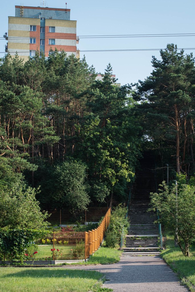 Park na skraju Zbocza Bydgoskiego na Kapuściskach.