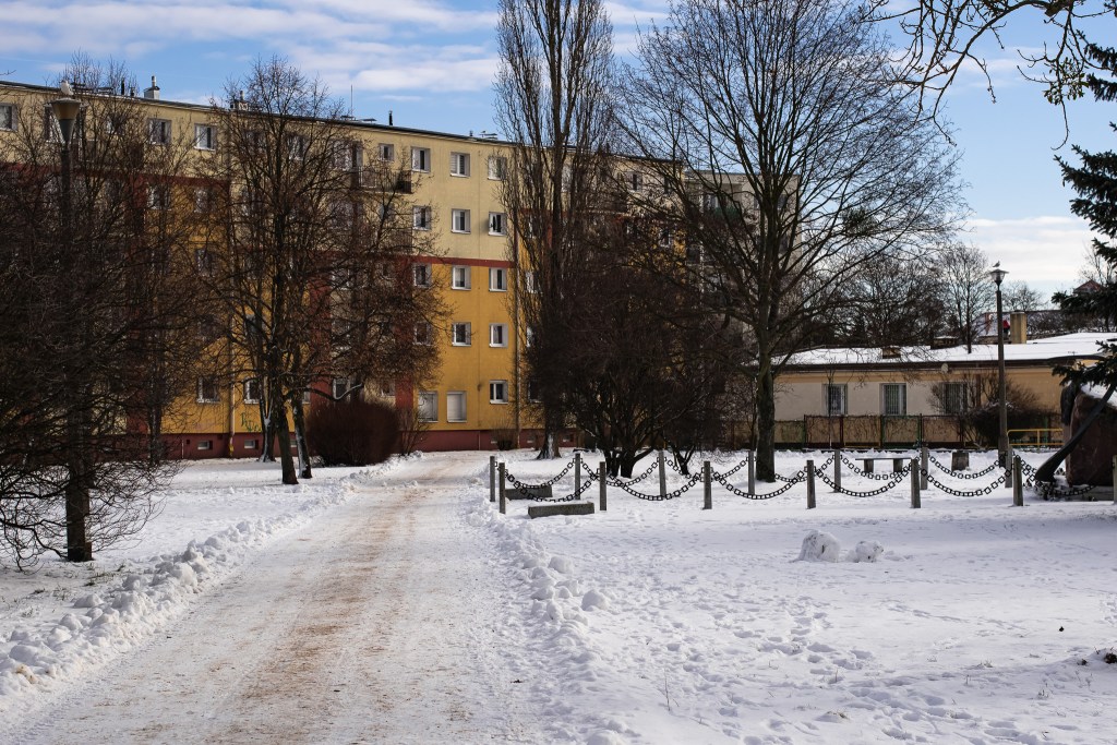 Na Błoniu blokowiska otulono zielenią!