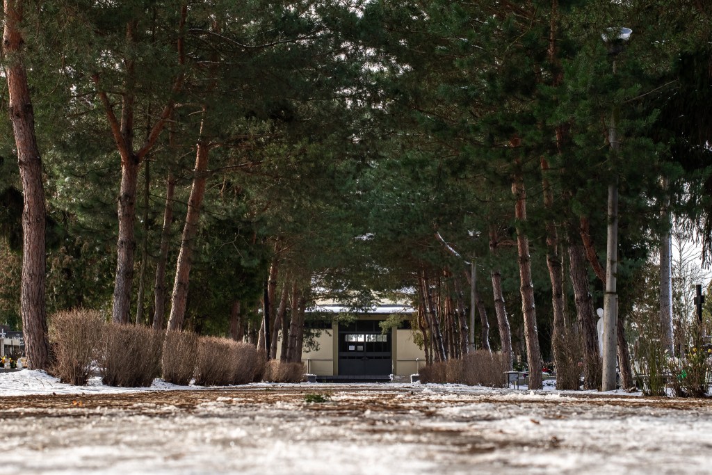 Aleja prowadząca do cmentarnej kaplicy. Cmentarz parafialny przy ul. Stawowej