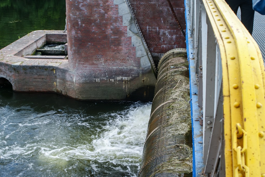 Jaz Czersko Polskie, Bydgoszcz