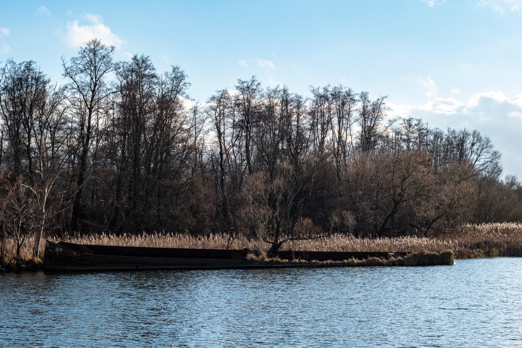 Zatopiona barka "Króla Jabłek" na osiedlu Bydgoszcz Wschód - Siernieczek