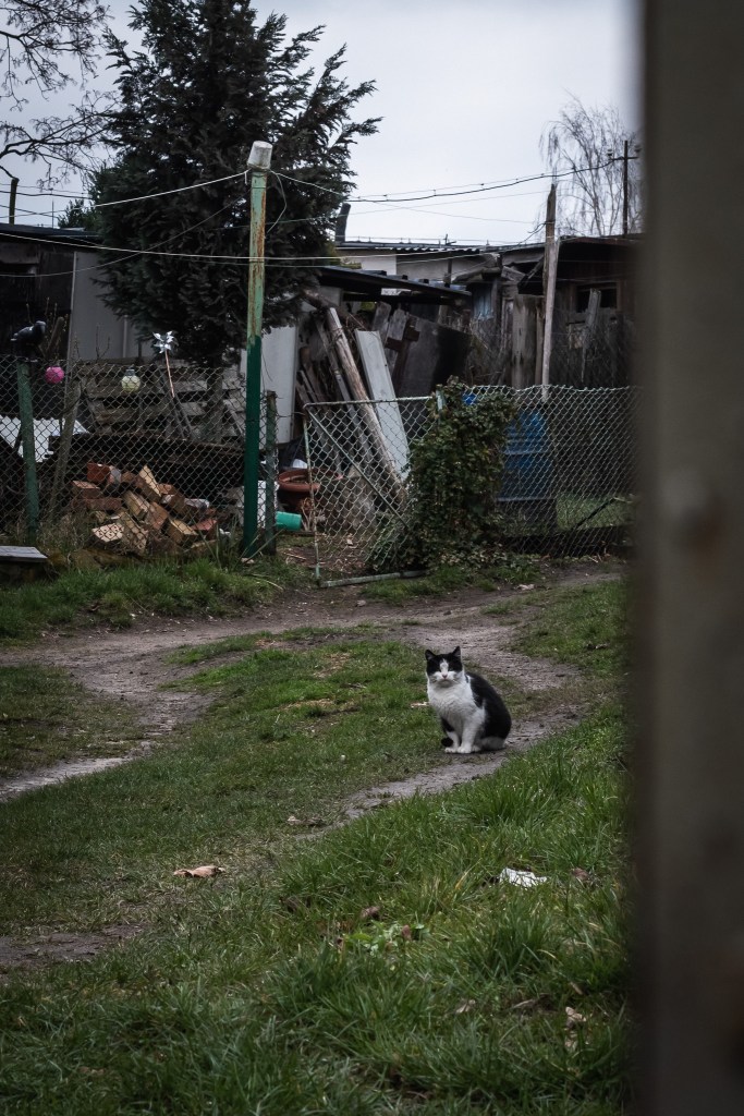 Osiedlowe bezdroża. Osiedle Bydgoszcz Wschód