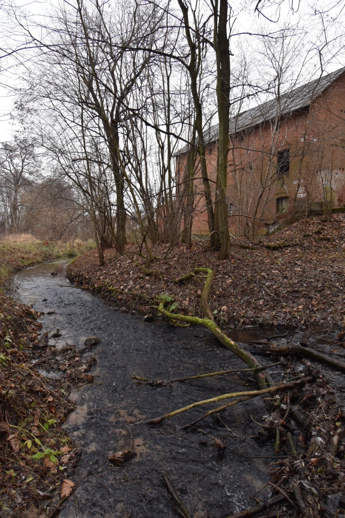 Potok Prądy i Młyn Tańskich na osiedlu Miedzyń i Prądy