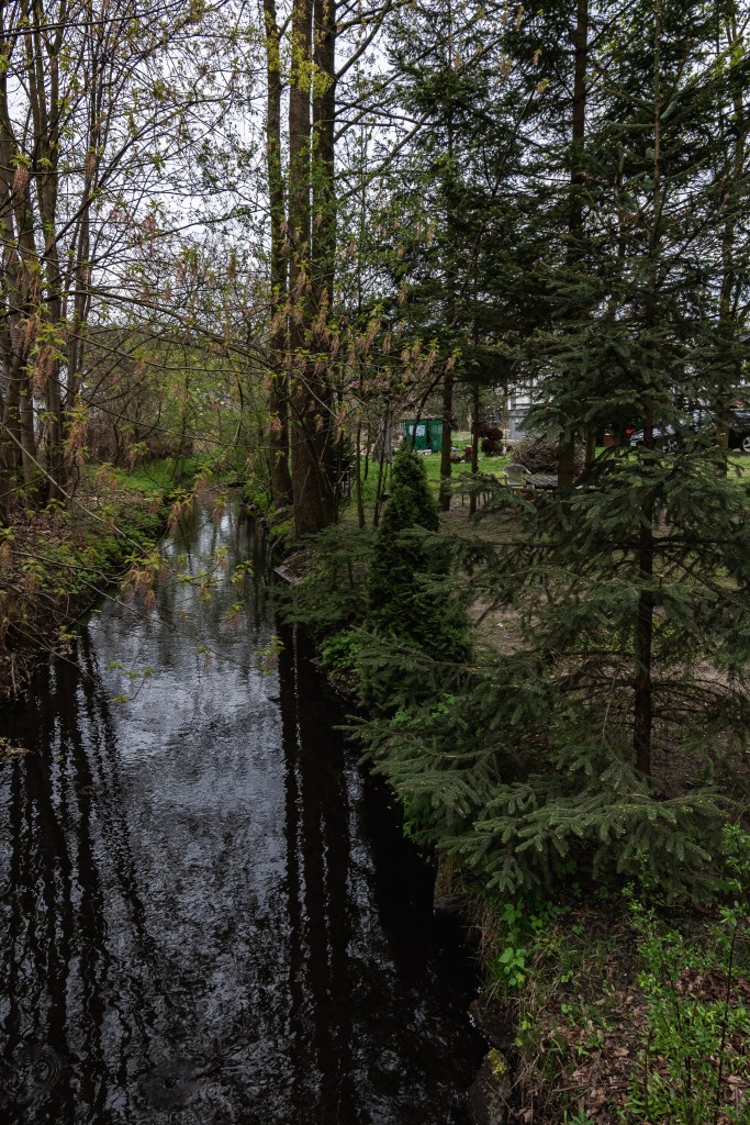 Najbardziej oczywistą granicą między Prądami a Miedzyniem jest Struga Młyńska (Flis Południowy)