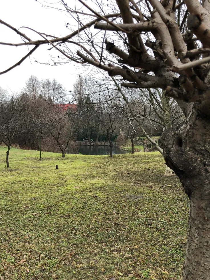 Staw przy ul. Zapłotek. Poniżej znajduje się wówóz, w którym rozpoczęła się historia Miedzynia