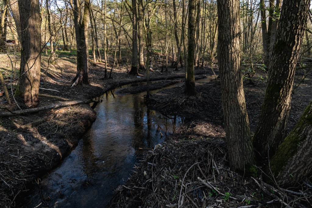 Struga Młyńska czyli Flis Południowy